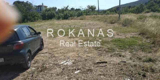 (For Sale) Land Plot for development || East Attica/Pikermi - 3.568 Sq.m, 220.000€ 