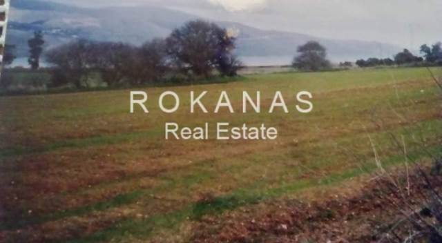 (For Sale) Land Plot out of City plans || Kefalonia/Paliki - 14.000 Sq.m, 1.000.000€ 