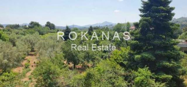 (For Sale) Residential Detached house || East Attica/Afidnes (Kiourka) - 660 Sq.m, 290.000€ 