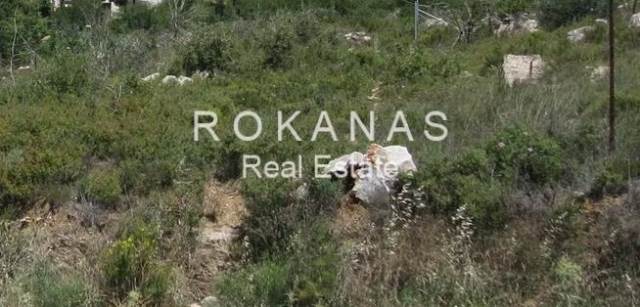 (For Sale) Land Plot for development || East Attica/Dionysos - 800 Sq.m, 280.000€ 