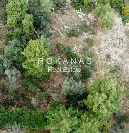 (For Sale) Land Plot for development || Athens North/Ekali - 802 Sq.m, 800.000€ 