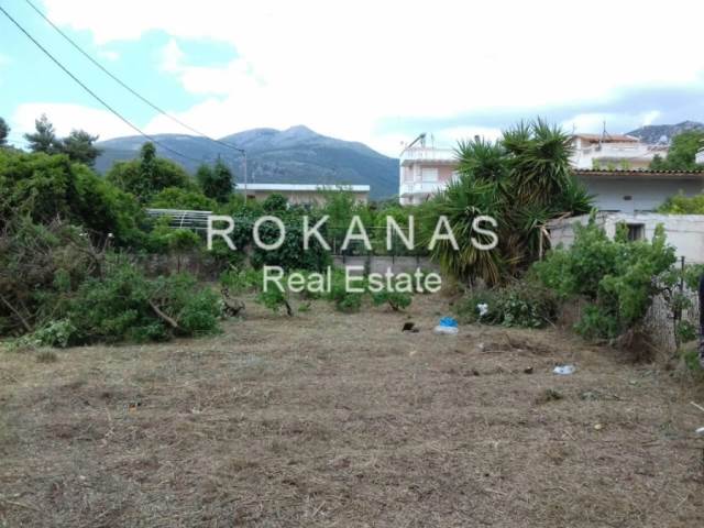 (For Sale) Land Plot for development || East Attica/Nea Makri - 129 Sq.m, 65.000€ 