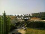 slide thumbnail