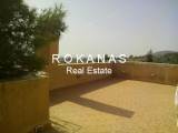 slide thumbnail