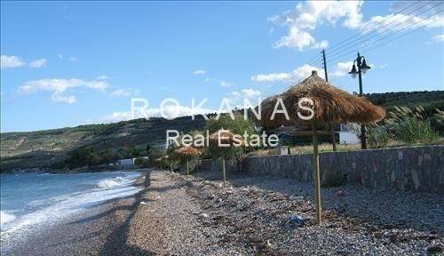 (Προς Πώληση) Αξιοποιήσιμη Γη Οικόπεδο εντός σχεδίου || Ν. Φθιώτιδας/Μαλεσίνα - 1.500 τ.μ, 125.000€ 