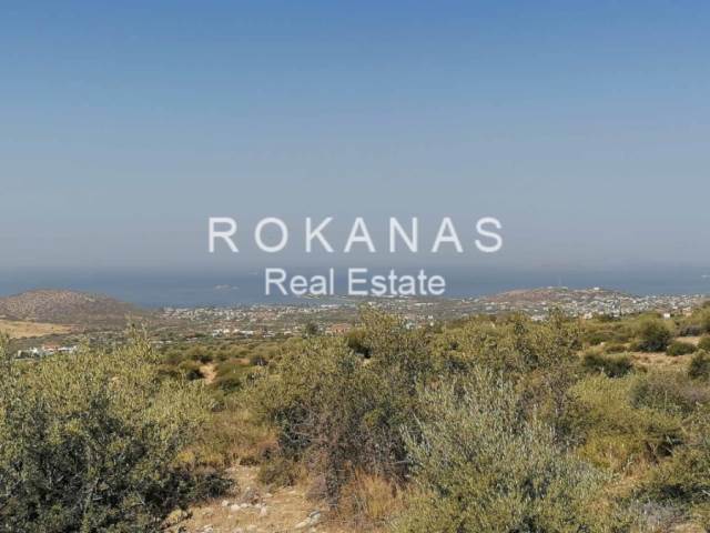 (For Sale) Land Plot out of City plans || East Attica/Kalyvia-Lagonisi - 20.000 Sq.m, 900.000€ 