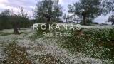 slide thumbnail