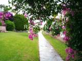 slide thumbnail