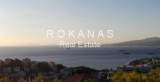 slide thumbnail