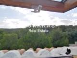 slide thumbnail