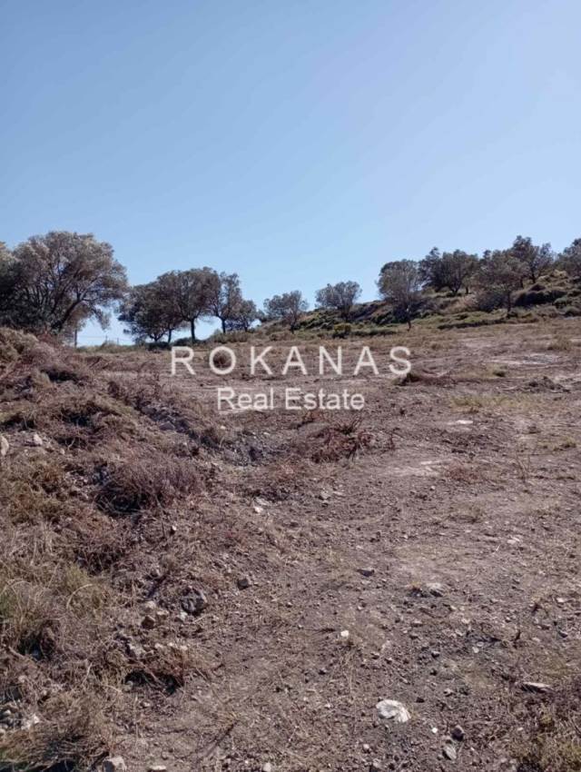 (For Sale) Land Plot out of City plans || East Attica/Keratea - 3.513 Sq.m, 25.000€ 