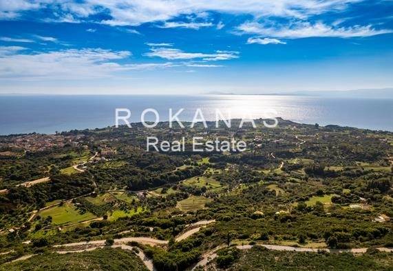 (For Sale) Land Plot out of City plans || Kefalonia/Argostoli - 4.227 Sq.m, 60.000€ 