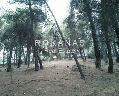 (For Sale) Land Plot for development || East Attica/Acharnes (Menidi) - 4.700 Sq.m, 1.800.000€ 