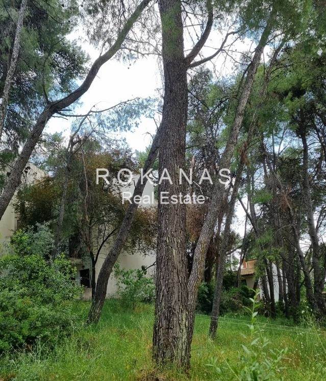 (Προς Πώληση) Αξιοποιήσιμη Γη Οικόπεδο εντός σχεδίου || Ανατολική Αττική/Άνοιξη - 680 τ.μ, 330.000€ 