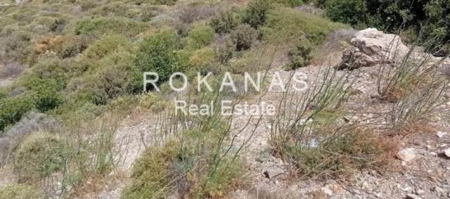 (Προς Πώληση) Αξιοποιήσιμη Γη Οικόπεδο εντός σχεδίου || Ανατολική Αττική/Πικέρμι - 670 τ.μ, 180.000€ 