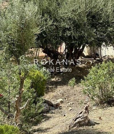 (Προς Πώληση) Αξιοποιήσιμη Γη Οικόπεδο εντός σχεδίου || Ανατολική Αττική/Σαρωνίδα - 600 τ.μ, 270.000€ 