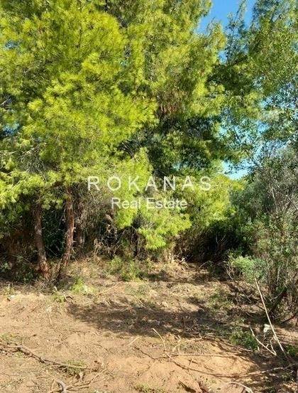 (Προς Πώληση) Αξιοποιήσιμη Γη Οικόπεδο εντός σχεδίου || Ανατολική Αττική/Ραφήνα - 609 τ.μ, 230.000€ 
