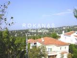 slide thumbnail