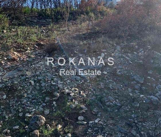 (Προς Πώληση) Αξιοποιήσιμη Γη Οικόπεδο εντός σχεδίου || Ανατολική Αττική/Πικέρμι - 3.060 τ.μ, 650.000€ 