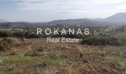 (For Sale) Land Plot for development || East Attica/Pallini - 1.323 Sq.m, 420.000€ 
