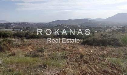(Προς Πώληση) Αξιοποιήσιμη Γη Οικόπεδο εντός σχεδίου || Ανατολική Αττική/Παλλήνη - 1.323 τ.μ, 420.000€ 