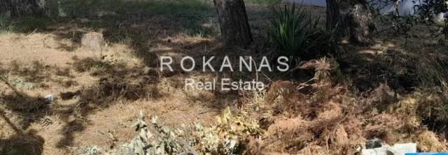 (Προς Πώληση) Αξιοποιήσιμη Γη Οικόπεδο εντός σχεδίου || Ανατολική Αττική/Άνοιξη - 255 τ.μ, 155.000€ 