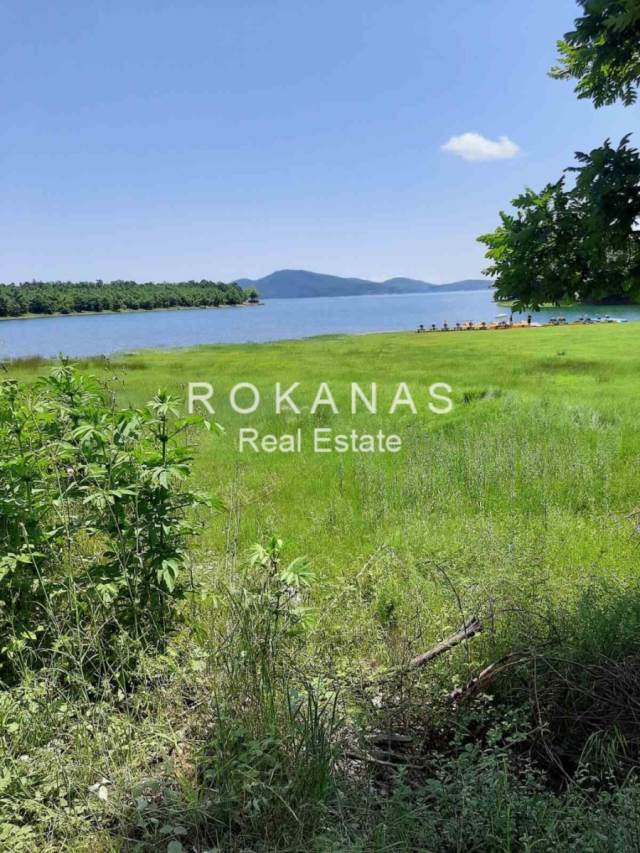 (For Sale) Land Plot for development || Karditsa/Limni Plastira - 1.100 Sq.m, 70.000€ 