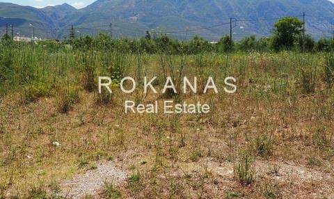 (For Sale) Land Plot || Messinia/Kalamata - 7.250 Sq.m, 490.000€ 