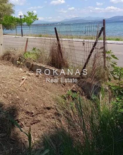 (Προς Πώληση) Αξιοποιήσιμη Γη Οικόπεδο εντός σχεδίου || Ν. Εύβοιας/Μεσσαπία - 1.800 τ.μ, 300.000€ 