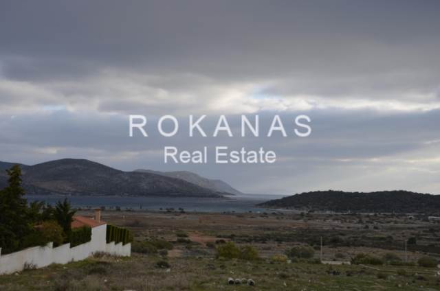(Προς Πώληση) Κατοικία Μονοκατοικία || Ανατολική Αττική/Ανάβυσσος - 223 τ.μ, 3 Υ/Δ, 350.000€ 