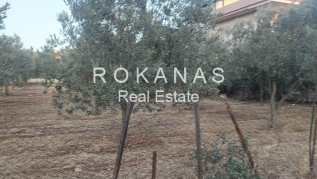 (Προς Πώληση) Αξιοποιήσιμη Γη Οικόπεδο εντός σχεδίου || Ανατολική Αττική/Κορωπί  - 1.000 τ.μ, 500.000€ 