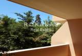 slide thumbnail