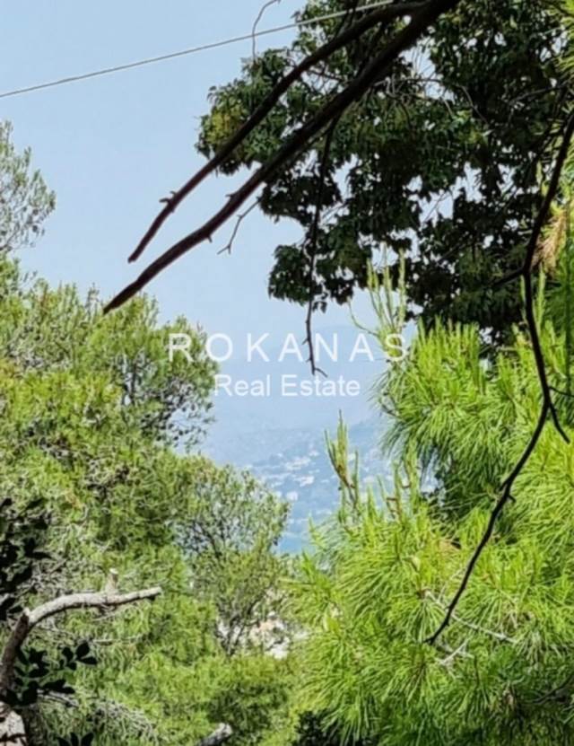 (Προς Πώληση) Αξιοποιήσιμη Γη Οικόπεδο εντός σχεδίου || Ανατολική Αττική/Σαρωνίδα - 752 τ.μ, 500.000€ 