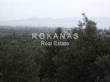 slide thumbnail