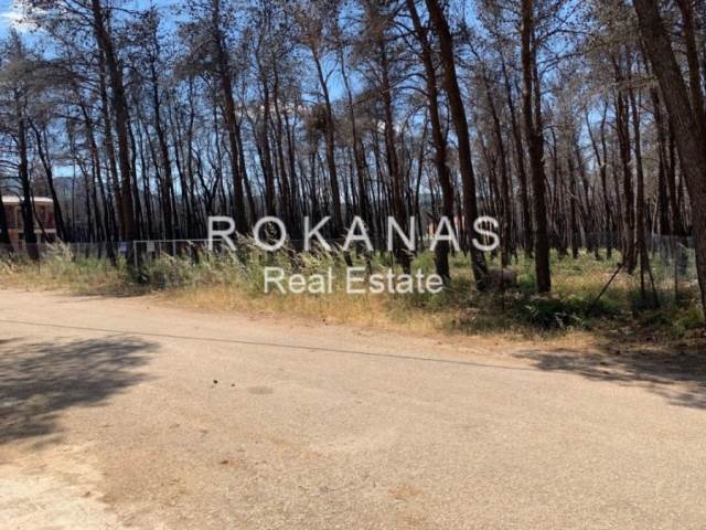 (Προς Πώληση) Αξιοποιήσιμη Γη Οικόπεδο εντός σχεδίου || Ανατολική Αττική/Αφίδνες (Κιούρκα) - 2.047 τ.μ, 350.000€ 