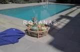 slide thumbnail