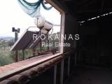 slide thumbnail