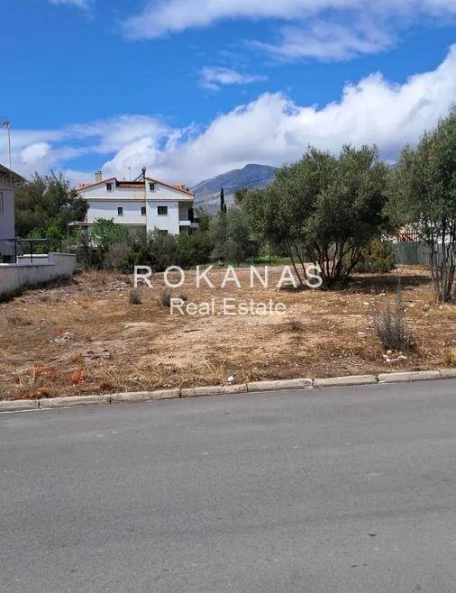 (For Sale) Land Plot for development || East Attica/Acharnes (Menidi) - 515 Sq.m, 260.000€ 