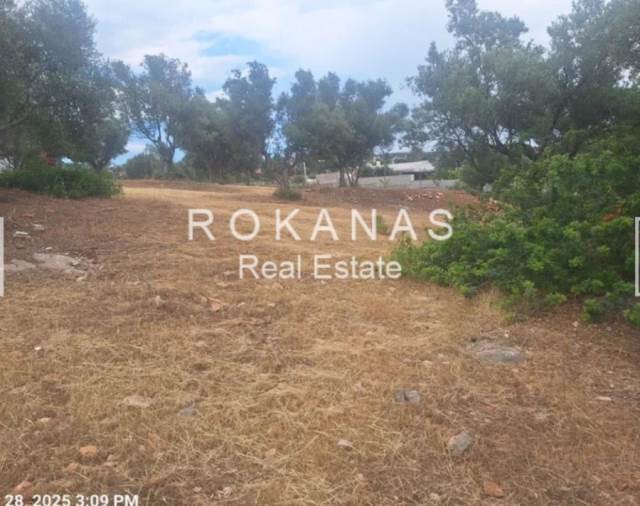 (Προς Πώληση) Αξιοποιήσιμη Γη Αγροτεμάχιο || Ανατολική Αττική/Κορωπί  - 2.590 τ.μ, 120.000€ 
