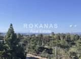 slide thumbnail