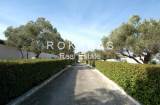 slide thumbnail