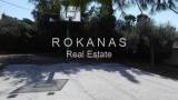 slide thumbnail