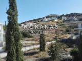 slide thumbnail