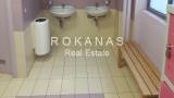 slide thumbnail