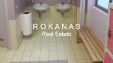 slide thumbnail