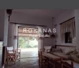 slide thumbnail