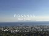 slide thumbnail