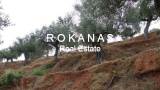 slide thumbnail