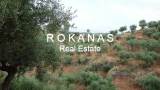 slide thumbnail