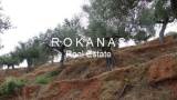 slide thumbnail